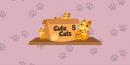 896795 1001 Jigsaw Cute Cats 